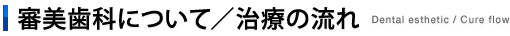 審美歯科について／治療の流れ　Dental esthetic / Cure flow