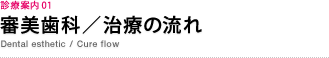 診療案内 01　審美歯科／治療の流れ　Dental esthetic / Cure flow