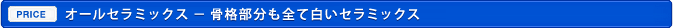 オールセラミックス － 骨格部分も全て白いセラミックス