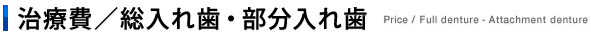 治療費／総入れ歯・部分入れ歯 Price / Full denture - Attachment denture 