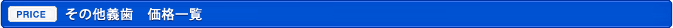 その他義歯　価格一覧