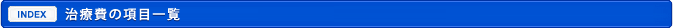 治療費の項目一覧