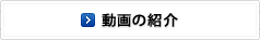 動画の紹介